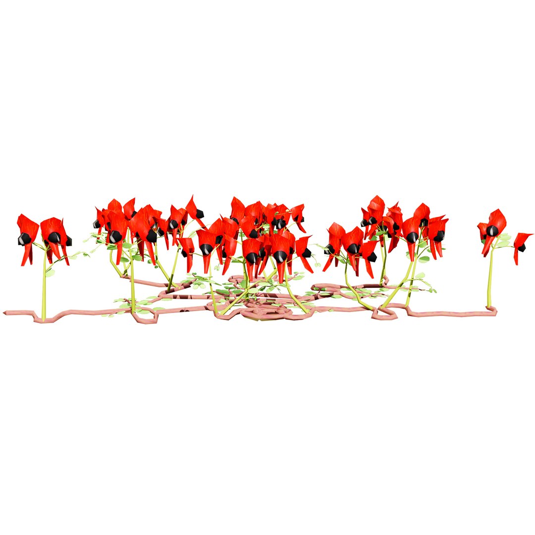 3D Australian Flora 3D Pack https://p.turbosquid.com/ts-thumb/T8/42MVaE/vD/australiansturtsdesertpeaswainsona1/jpg/1744109700/1920x1080/fit_q87/7d2e8d99e1c491a45cd379d3ff9477b77478c520/australiansturtsdesertpeaswainsona1.jpg