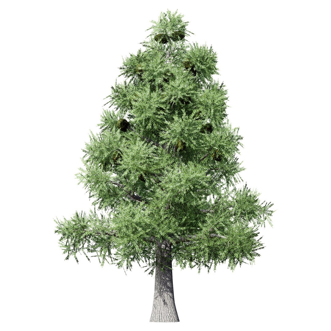 3D Australian Flora 3D Pack https://p.turbosquid.com/ts-thumb/T8/42MVaE/wV/australianbunyapinetrees1/jpg/1744109616/1920x1080/fit_q87/fe622483aa0f8f4360ade587465d2866b2970d30/australianbunyapinetrees1.jpg