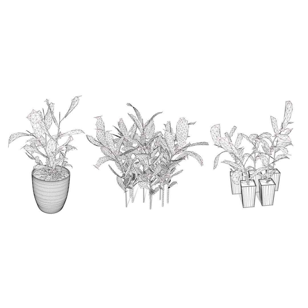 3D Australian Flora 3D Pack https://p.turbosquid.com/ts-thumb/T8/42MVaE/zT/australiangingeralpiniacaerulea13/jpg/1744109751/1920x1080/fit_q87/12a177d5d42330e7b91aa4f26a60be3e8985d392/australiangingeralpiniacaerulea13.jpg