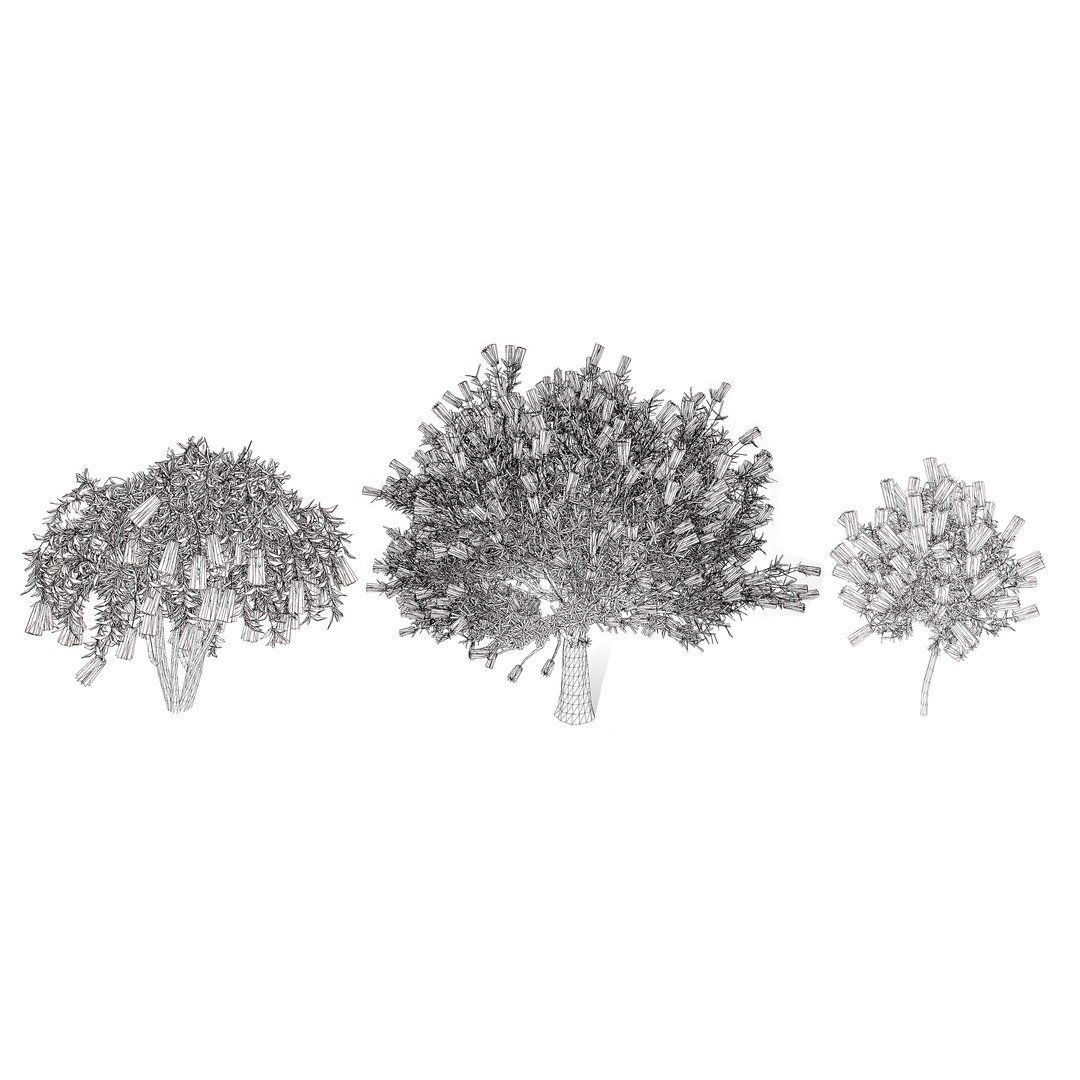 3D Australian Flora 3D Pack https://p.turbosquid.com/ts-thumb/T8/42MVaE/zu/vibrantbottlebrush3dmodels19/jpg/1744109755/1920x1080/fit_q87/ddd2e2651c76dbb30a1ae05afa1dd3fd31126db5/vibrantbottlebrush3dmodels19.jpg