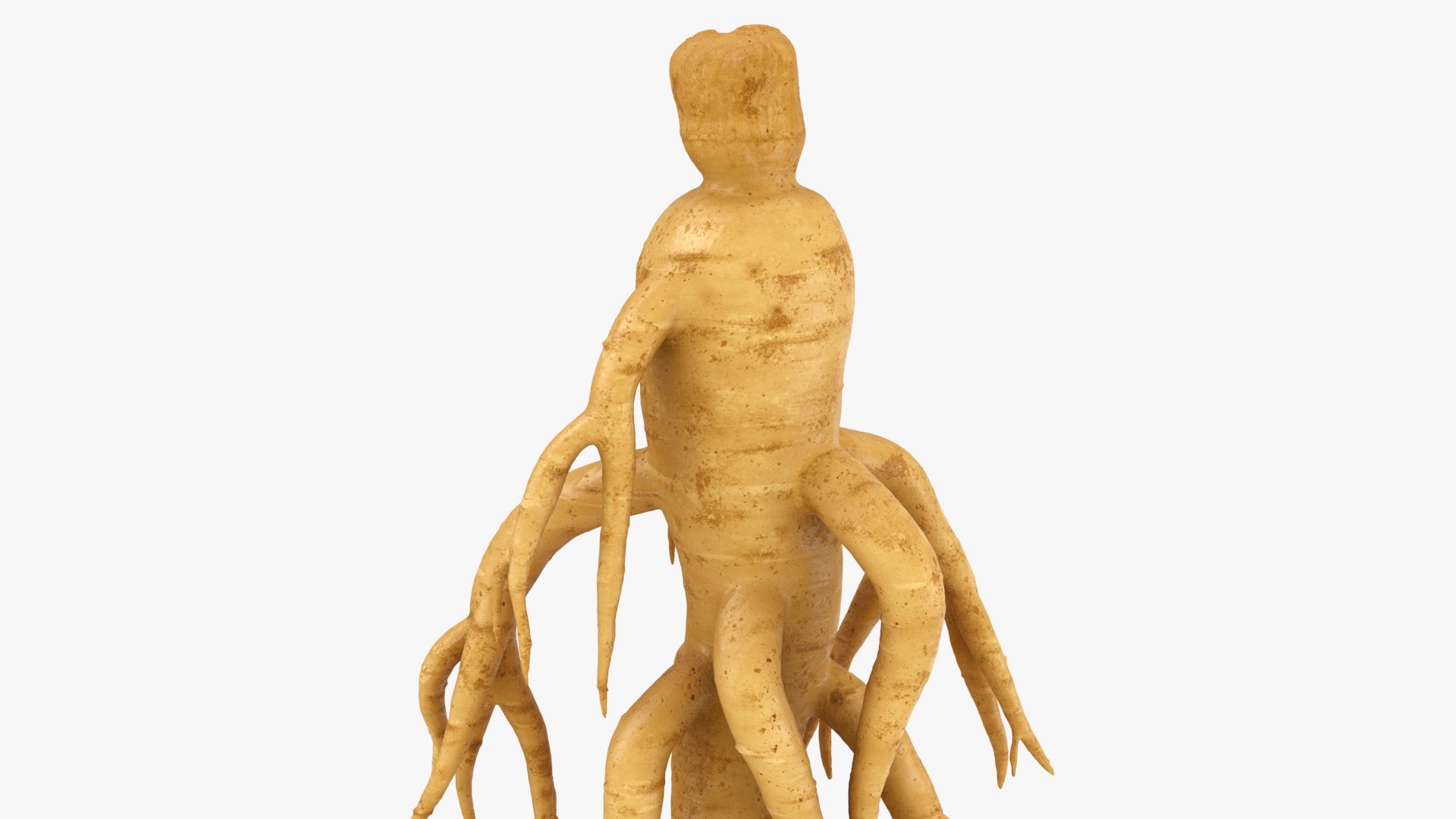 3D Ginseng 01 https://p.turbosquid.com/ts-thumb/T8/4tMZDk/mt/ginseng01_b0016/jpg/1723882657/1920x1080/fit_q87/cfdb00265991010b2b2e771ab4259672c219f51a/ginseng01_b0016.jpg