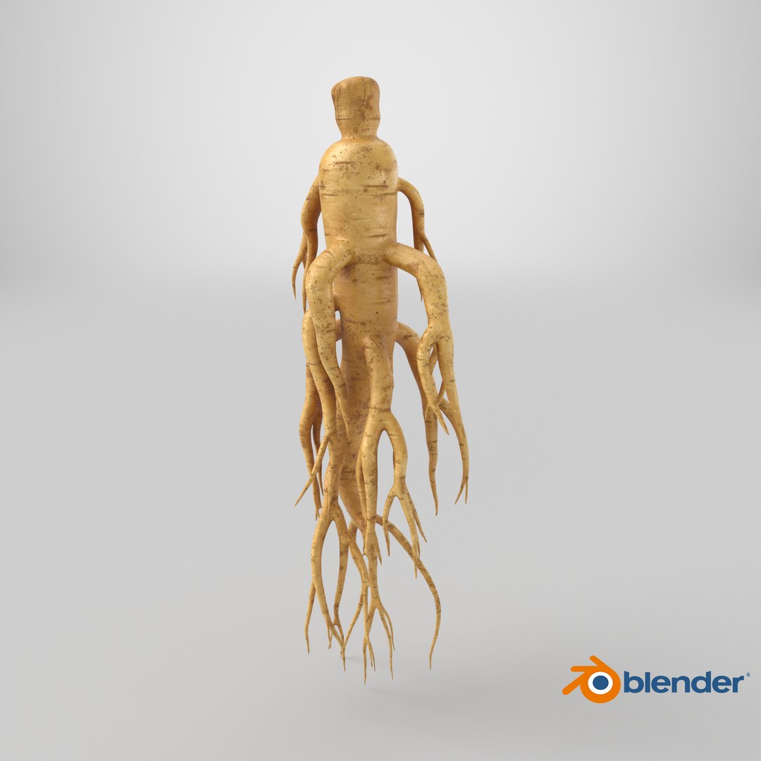 3D Ginseng 01 https://p.turbosquid.com/ts-thumb/T8/4tMZDk/sY/stemcell_blender_cycles_render/png/1725374787/1920x1080/fit_q87/f2c950f30ca6006bda82f4c2d93aa206b3789854/stemcell_blender_cycles_render.jpg