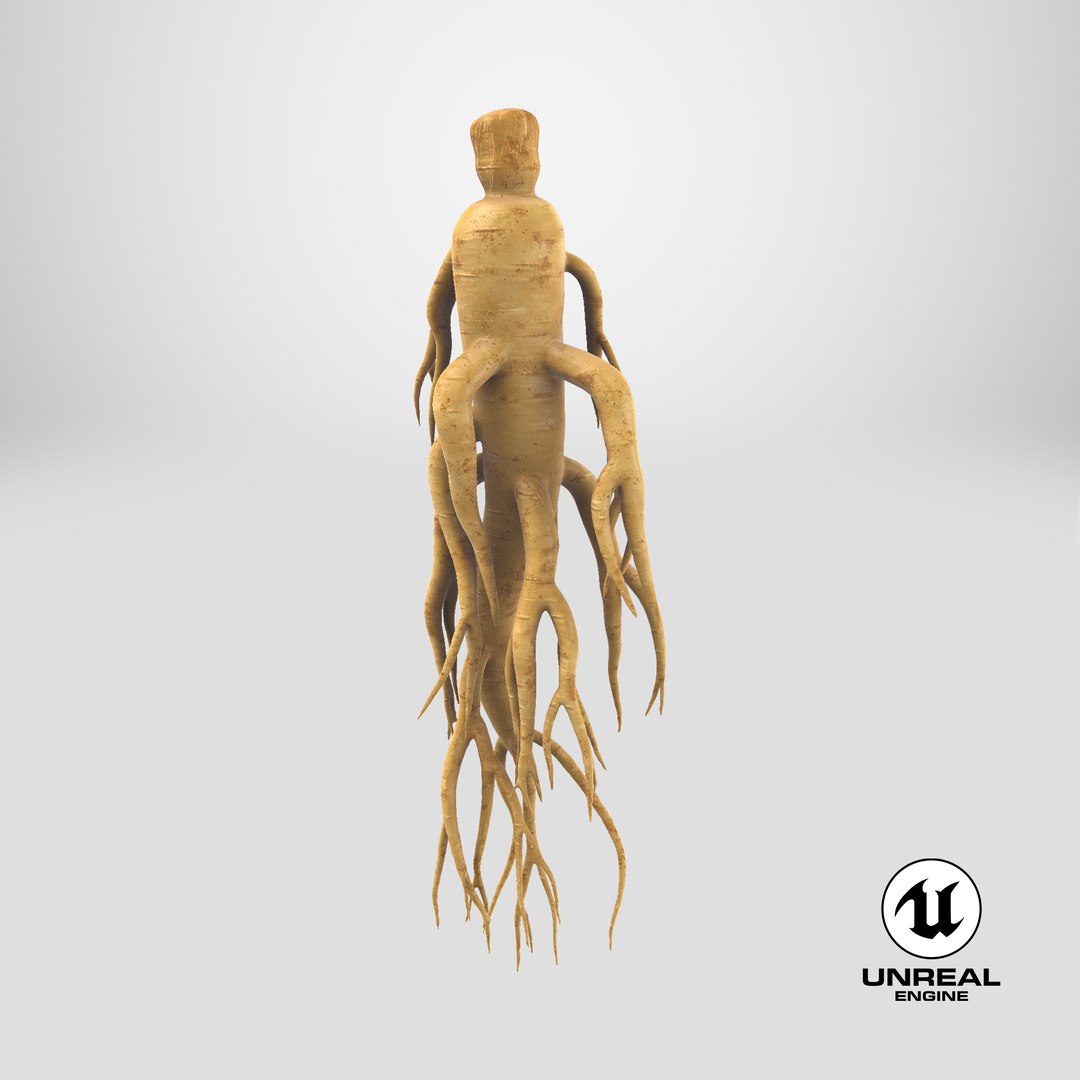 3D Ginseng 01 https://p.turbosquid.com/ts-thumb/T8/4tMZDk/z1/stemcell_unreal_render/png/1725374799/1920x1080/fit_q87/a491bc98df0c6c07778f31bd29e89bebcef37e7f/stemcell_unreal_render.jpg
