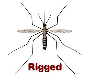 3d 3ds mosquito culex pipiens