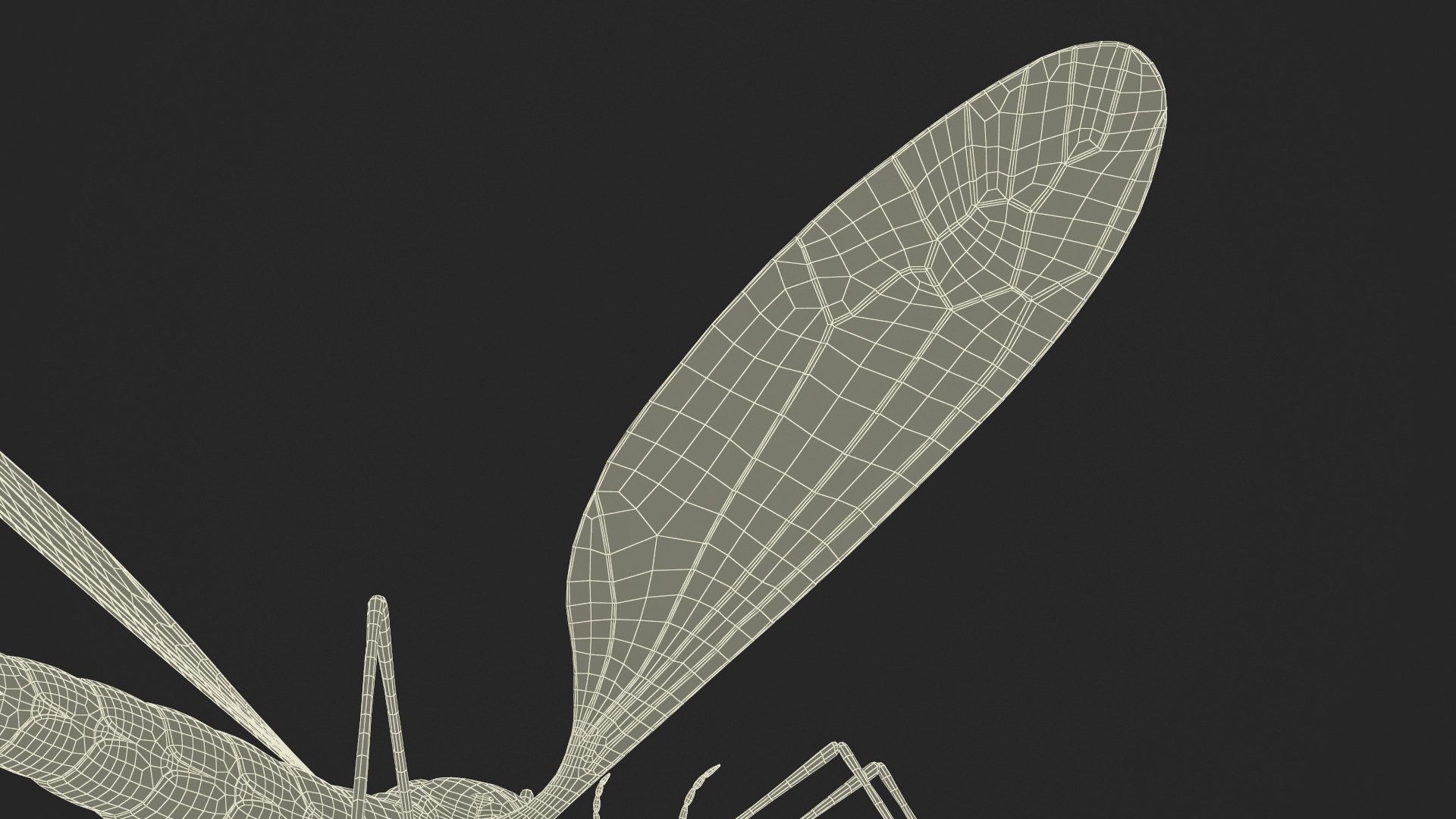 3D Crane Fly Fur Rigged https://p.turbosquid.com/ts-thumb/T8/6OnM90/1P/craneflyfurriggedc4dmodel037/jpg/1715886420/1920x1080/fit_q87/257931bedaeda7cbf6f8ed93e1d74764d3e5505e/craneflyfurriggedc4dmodel037.jpg