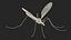 Crane Fly Fur Rigged