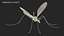 Crane Fly Fur Rigged