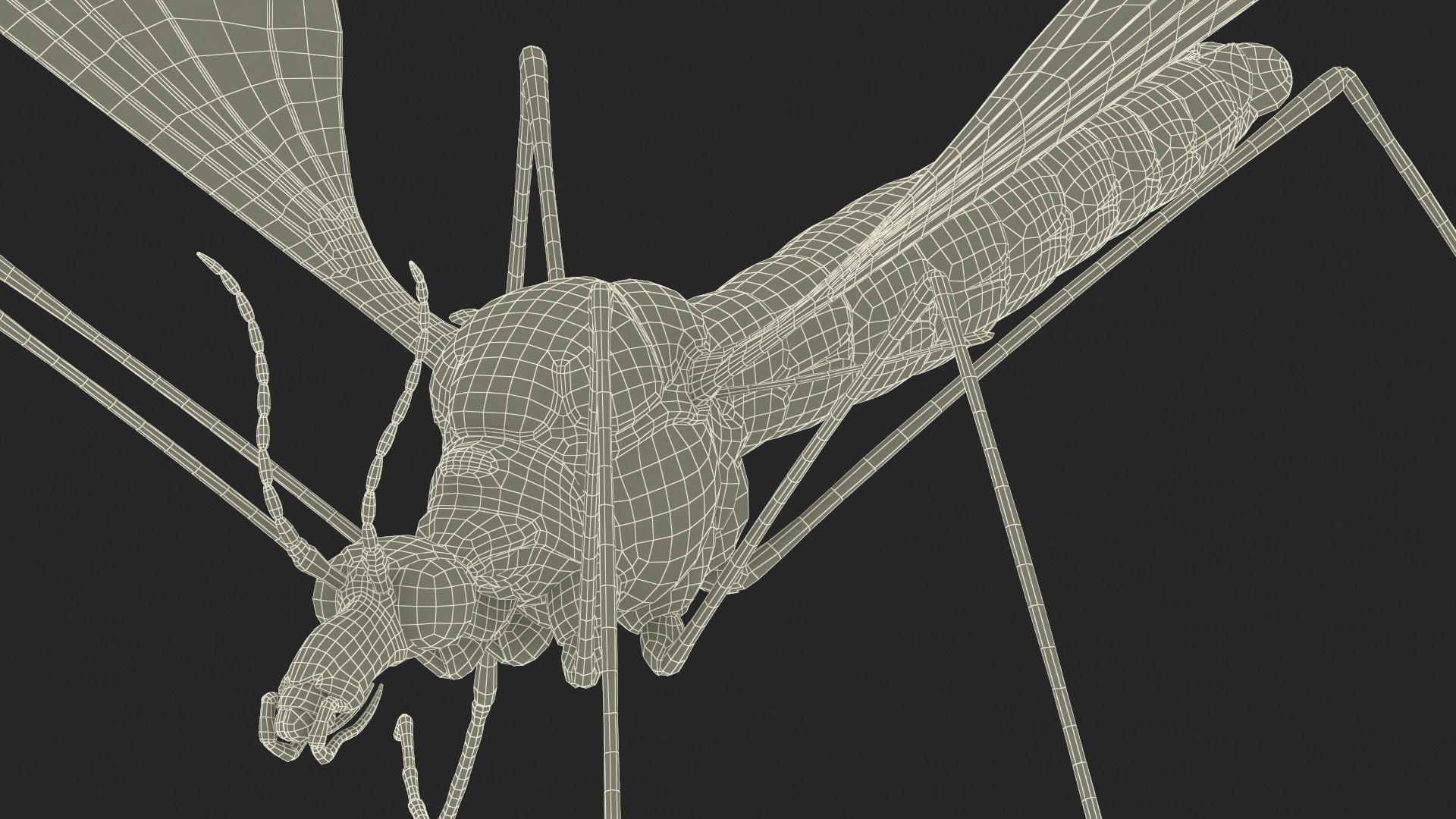 3D Crane Fly Fur Rigged https://p.turbosquid.com/ts-thumb/T8/6OnM90/Gq/craneflyfurriggedc4dmodel043/jpg/1715886438/1920x1080/fit_q87/8d109300b8728fc8918bbe64b03af5c238badafb/craneflyfurriggedc4dmodel043.jpg