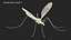 Crane Fly Fur Rigged