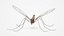 Crane Fly Fur Rigged