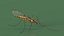 Crane Fly Fur Rigged