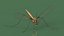 Crane Fly Fur Rigged