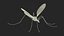 Crane Fly Fur Rigged