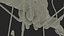 Crane Fly Fur Rigged