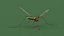 Crane Fly Fur Rigged