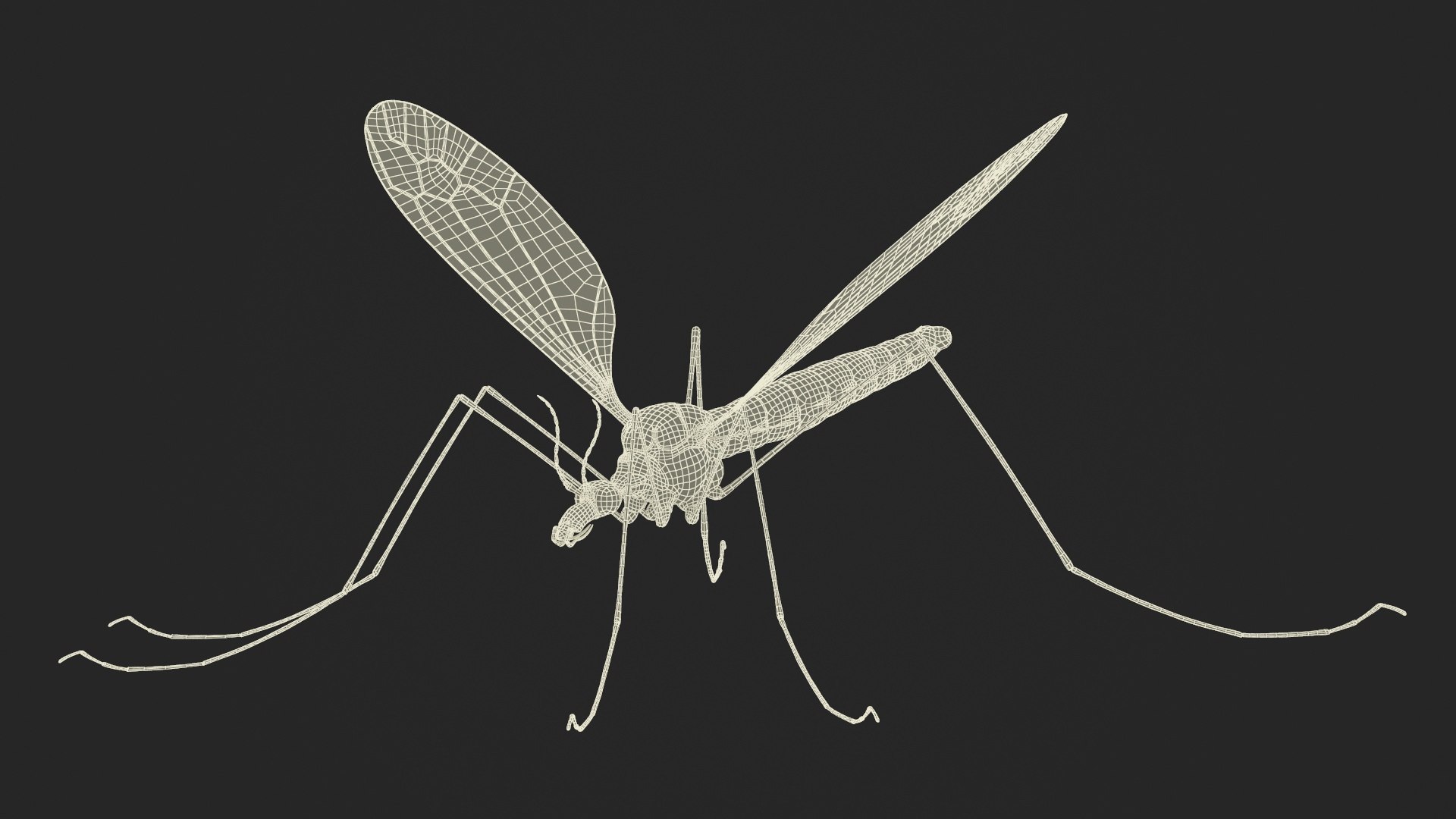 3D Crane Fly Fur Rigged https://p.turbosquid.com/ts-thumb/T8/6OnM90/o4/craneflyfurriggedc4dmodel045/jpg/1715886443/1920x1080/fit_q87/3817347f7d985972be42b88d409eaf133786c20b/craneflyfurriggedc4dmodel045.jpg