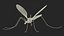 Crane Fly Fur Rigged