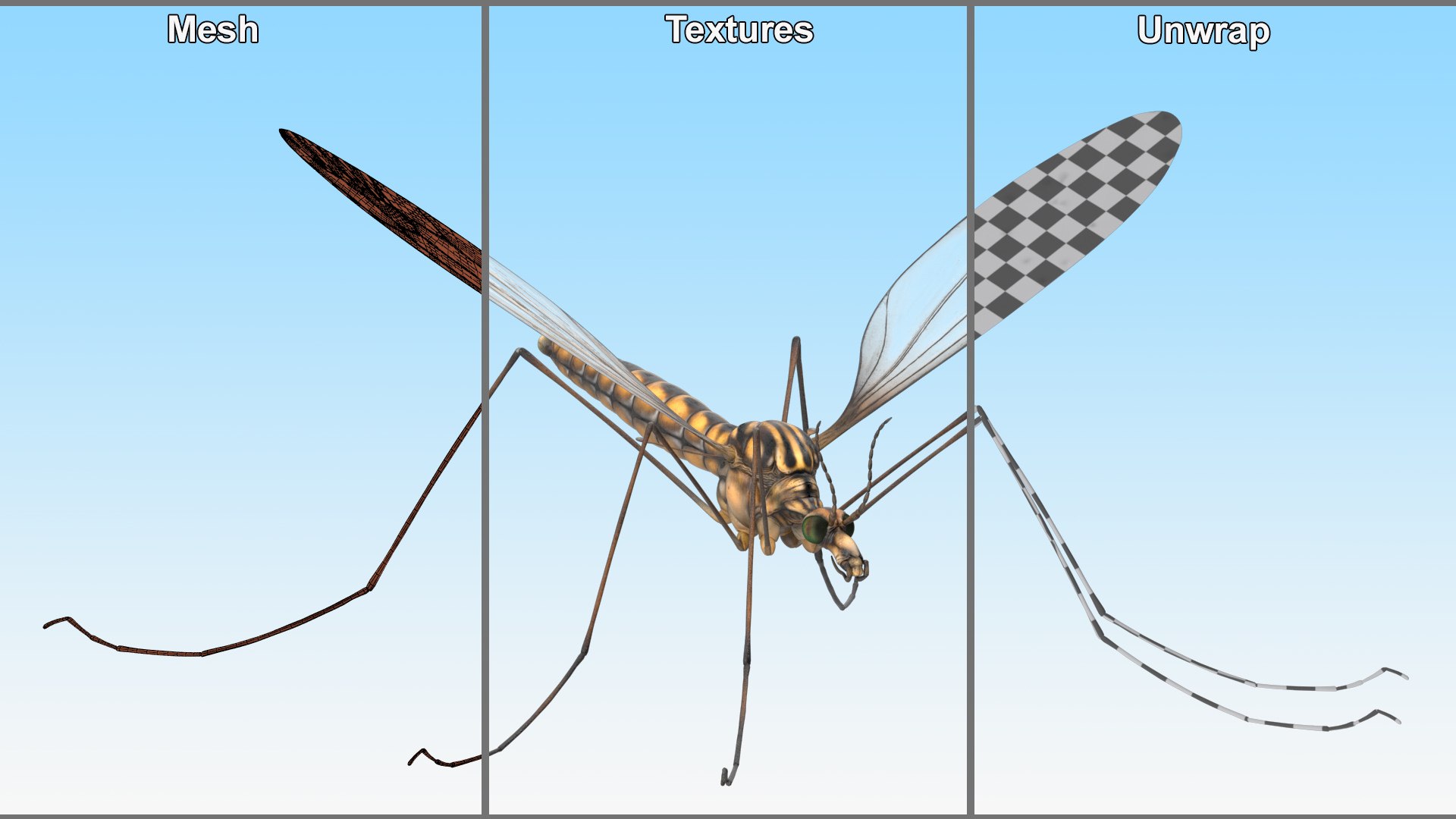 3D Crane Fly Fur Rigged https://p.turbosquid.com/ts-thumb/T8/6OnM90/pz/craneflyfurriggedc4dmodel031/jpg/1715886405/1920x1080/fit_q87/dbcbeb7efee0f54108fb48b626c75c719c6618ef/craneflyfurriggedc4dmodel031.jpg