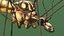 Crane Fly Fur Rigged