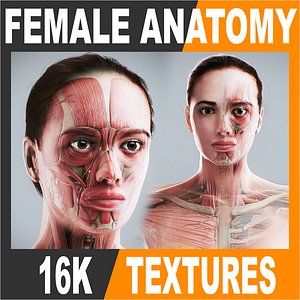 Human Female Complete Anatomy