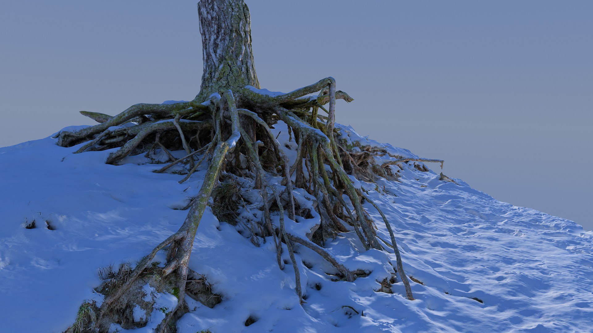 Roots Snow 3d Max