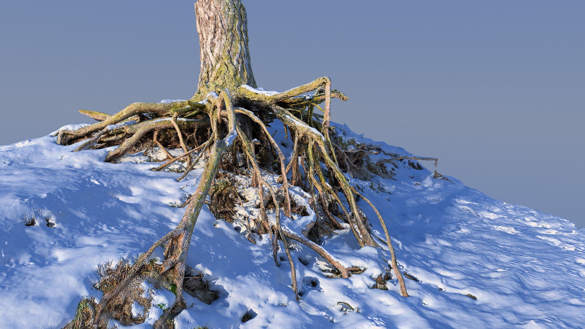 Roots Snow 3d Max