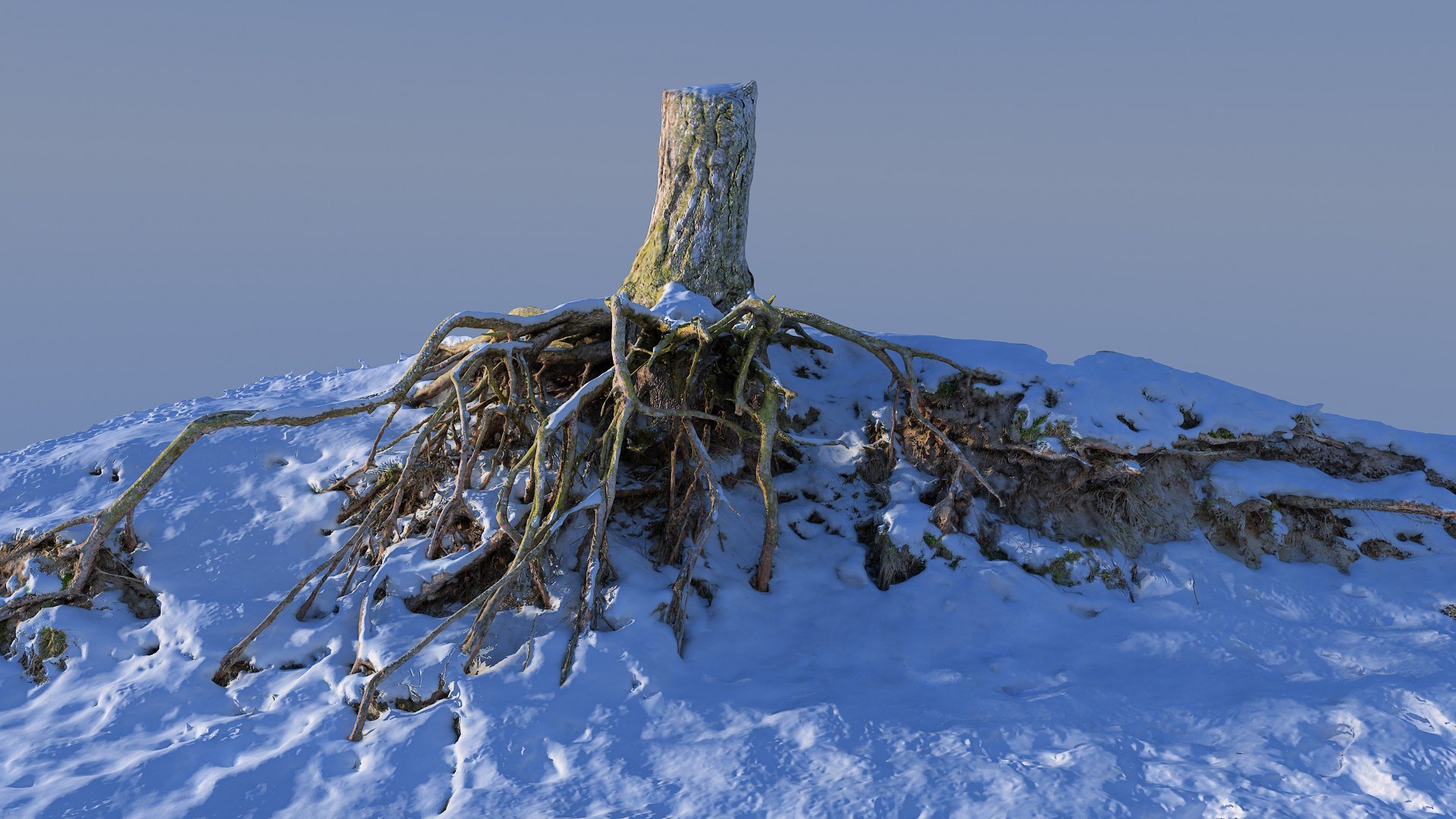 Roots Snow 3d Max