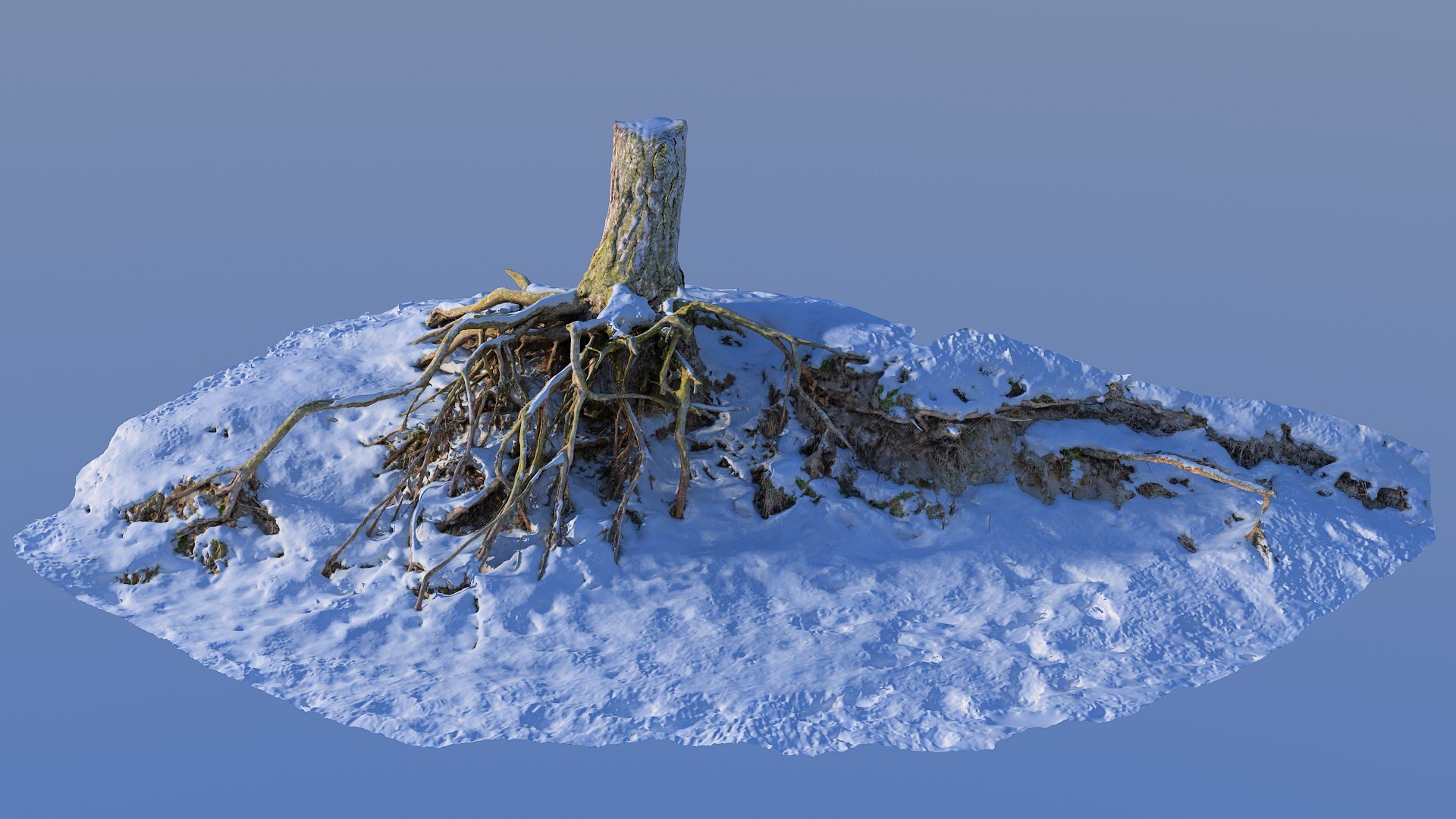Roots Snow 3d Max