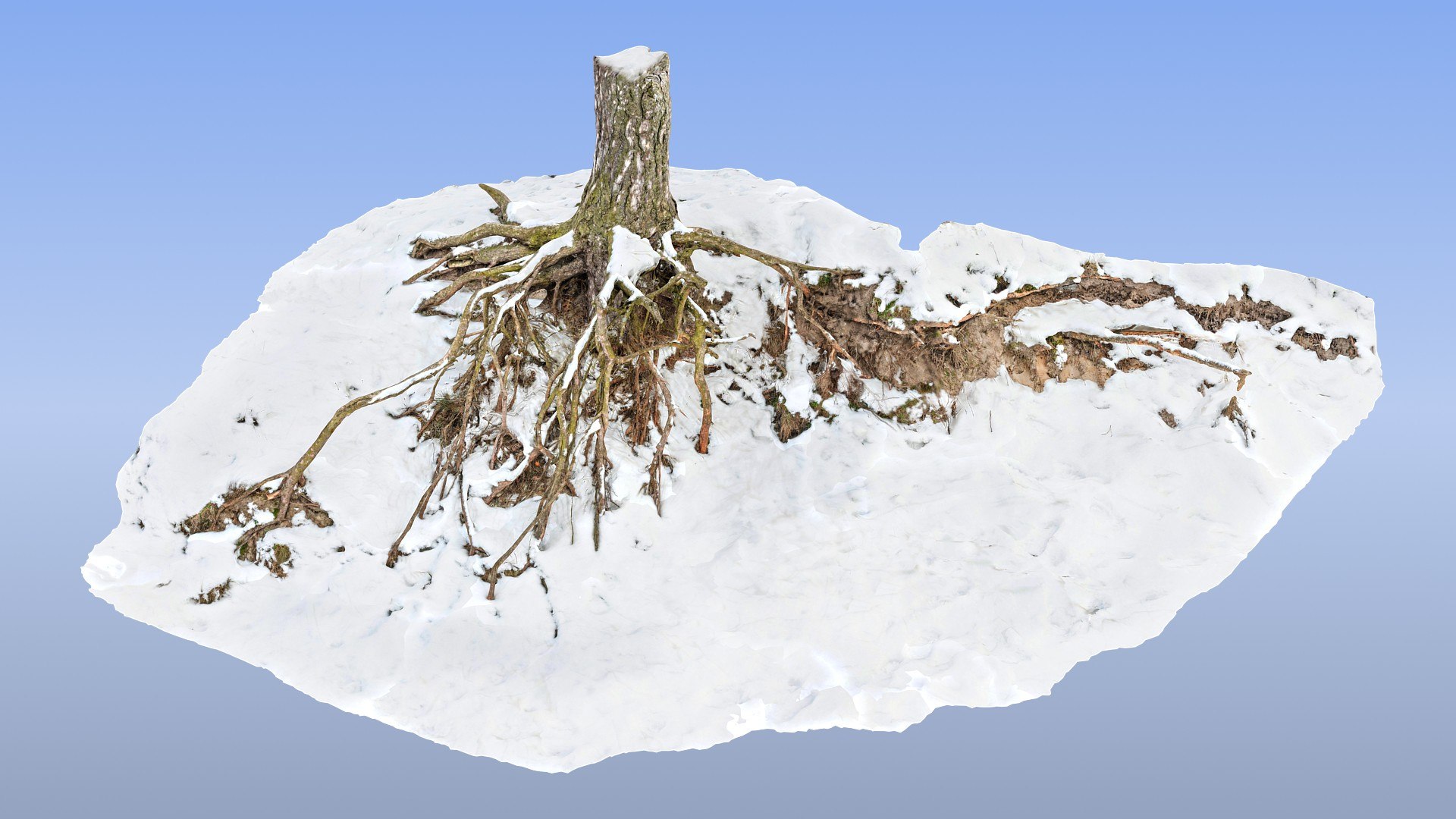 Roots Snow 3d Max