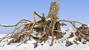 roots snow 3d max