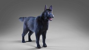 Fur Black Dog NO Rig 3D
