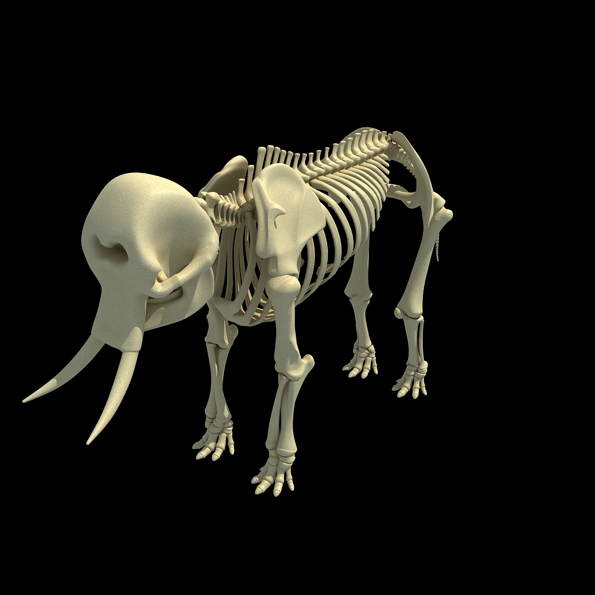 african elephant skeleton 3d 3ds