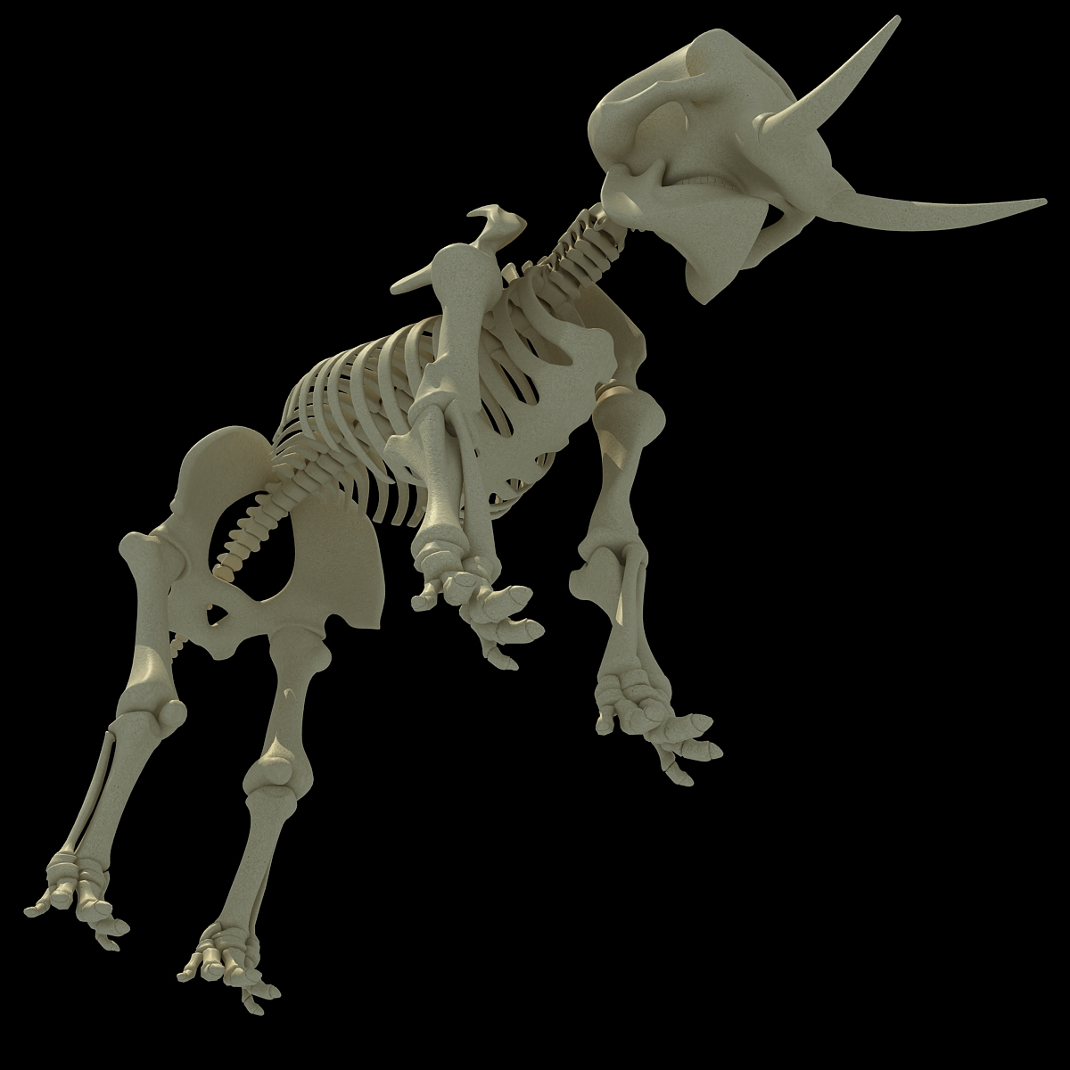 African Elephant Skeleton 3d 3ds