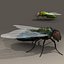 Fly
