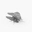 Fly