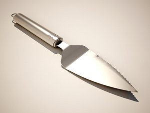 Cake knife