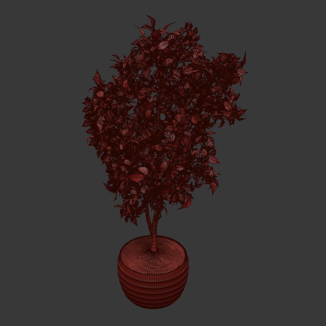 3D ficus indoor bush https://p.turbosquid.com/ts-thumb/T9/Bxaf7U/CdgqMXh3/q10002/jpg/1578474824/1920x1080/fit_q87/9d29a46b63203f284acda19ce6c09da08d89670d/q10002.jpg