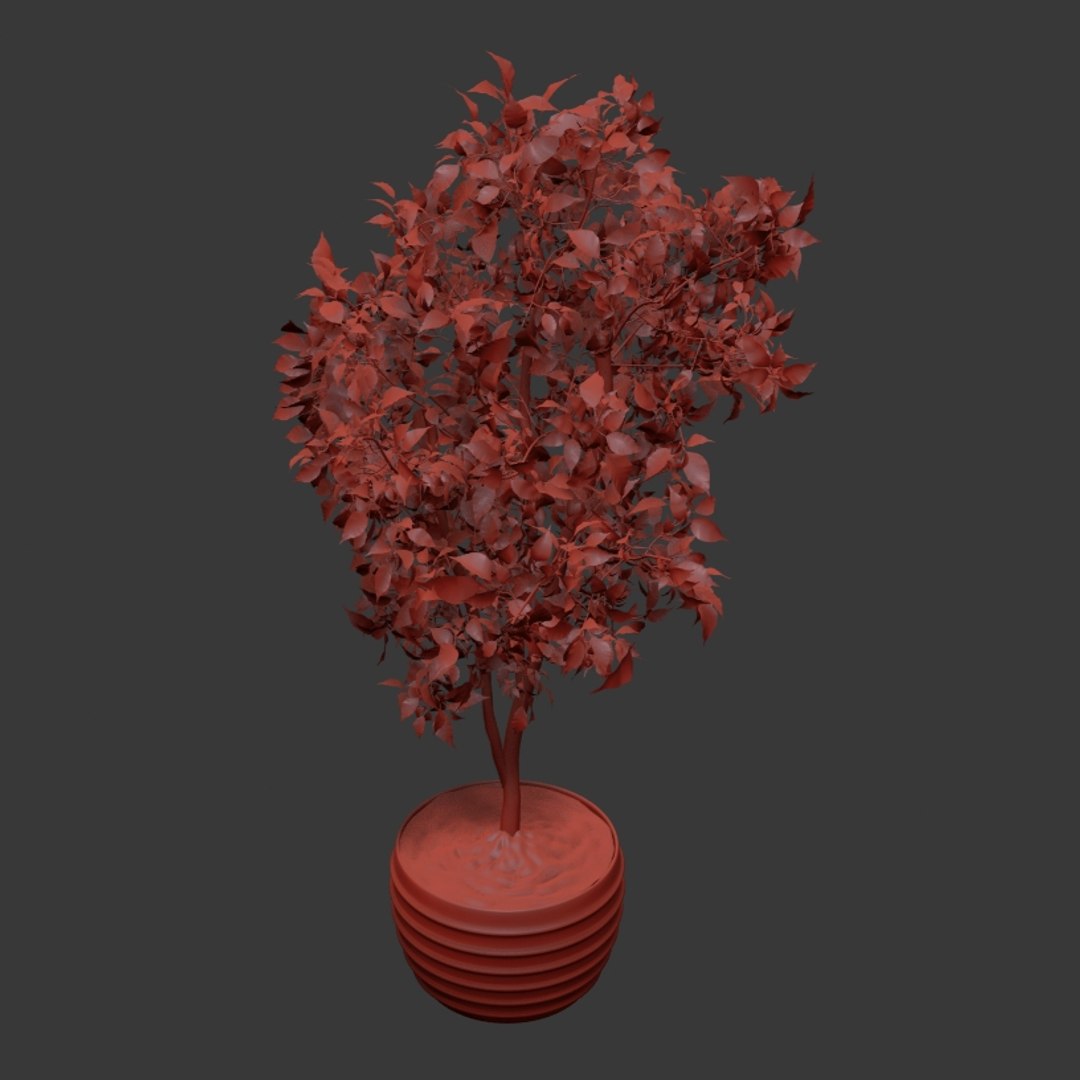 3D ficus indoor bush https://p.turbosquid.com/ts-thumb/T9/Bxaf7U/P4Yxb5Kw/q10003/jpg/1578474824/1920x1080/fit_q87/b29fe6a927ca1c4b1daf4dc22e3bffc3e0a76356/q10003.jpg