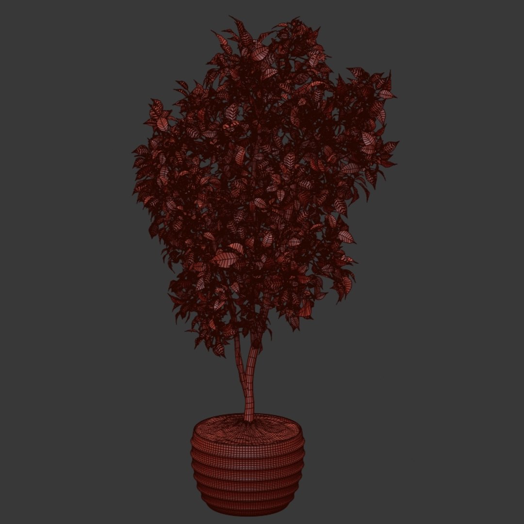 3D ficus indoor bush https://p.turbosquid.com/ts-thumb/T9/Bxaf7U/tAa7vExd/q10001/jpg/1578474824/1920x1080/fit_q87/b3126069769fc9ab45d3886e242cd409dab3d2d6/q10001.jpg