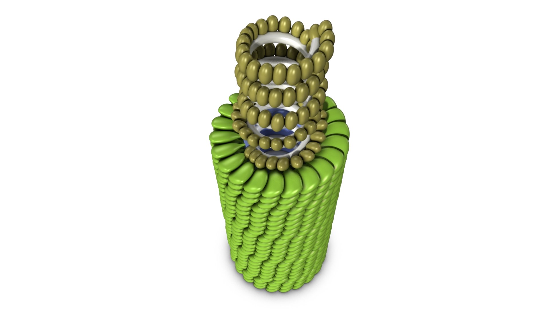 tobacco mosaic virus 3D https://p.turbosquid.com/ts-thumb/T9/FyWnwt/H0/tobacco0003/jpeg/1638801032/1920x1080/fit_q87/9ee94a3a4102d5c7f77f56c75dd2b6d65c895a0e/tobacco0003.jpg
