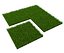 grass