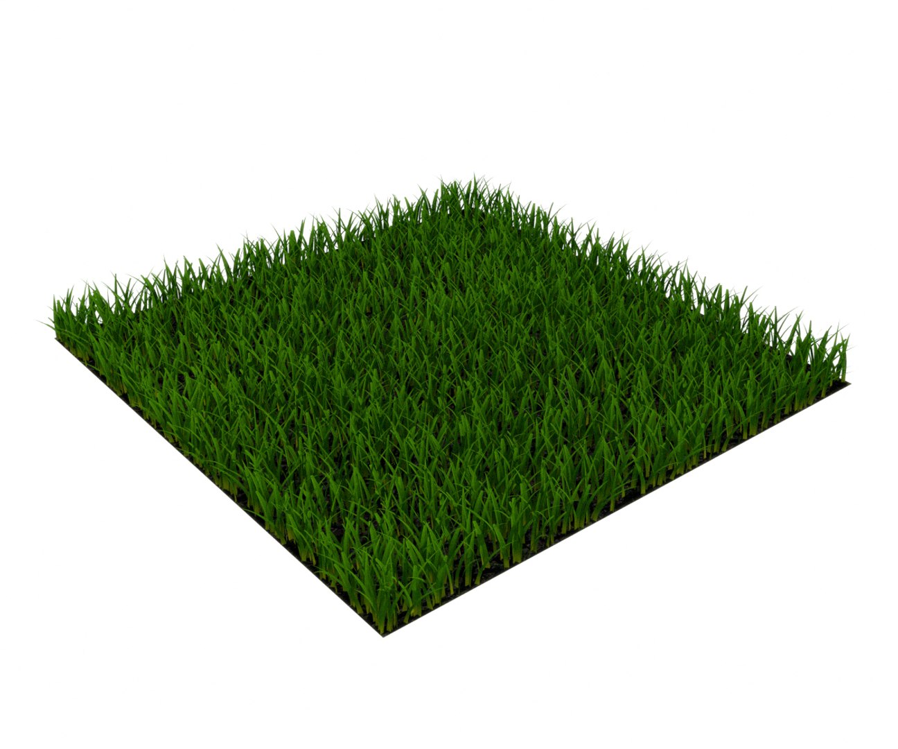 grass rass 3D model https://p.turbosquid.com/ts-thumb/T9/JqmmTr/8E27jzD2/rendererbahd1/jpg/1501583962/1920x1080/fit_q87/0a313bc80286010e8bba835a0cc2613424e1023a/rendererbahd1.jpg