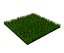 grass