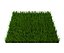 grass