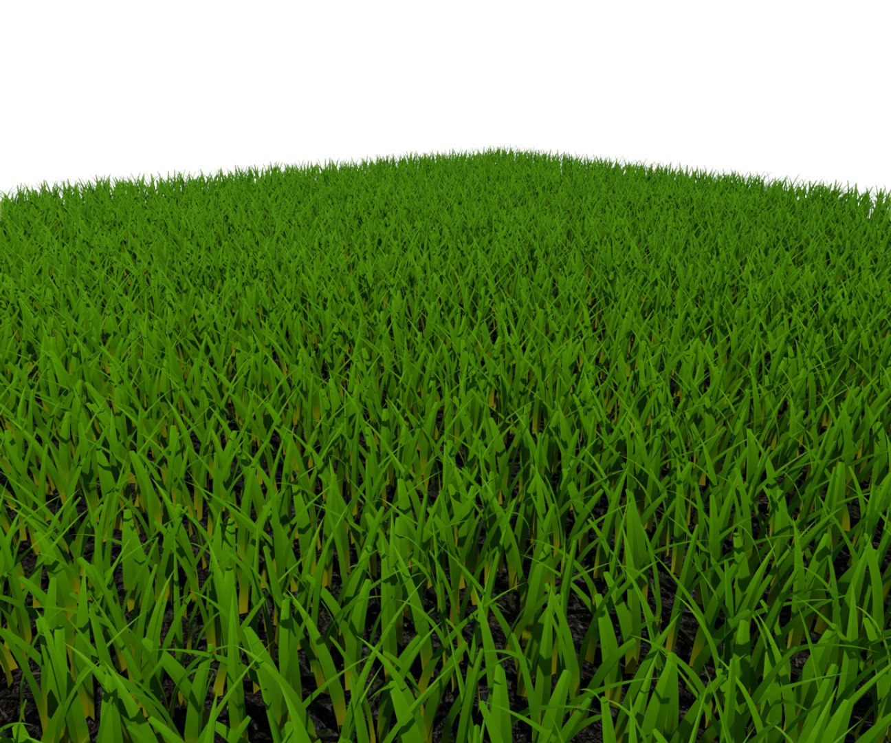 grass rass 3D model https://p.turbosquid.com/ts-thumb/T9/JqmmTr/FLXO1PnI/rendererbahd1d/jpg/1501583990/1920x1080/fit_q87/8f911f89004fa0c0aa4ee779aaf49138f65b52d6/rendererbahd1d.jpg