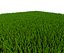 grass
