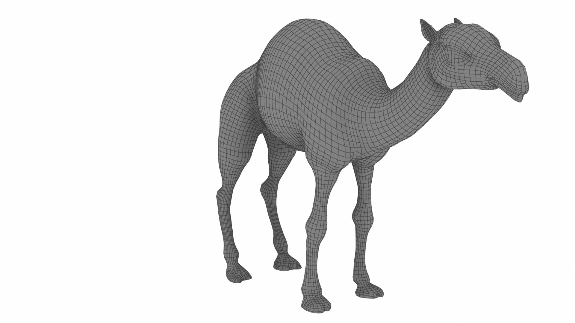 Camel 3D https://p.turbosquid.com/ts-thumb/T9/ZjLwJ7/7q/1_view04/jpg/1735212081/1920x1080/fit_q87/fc8859e15e695eb5cf9ca55027e840edcb8964f2/1_view04.jpg