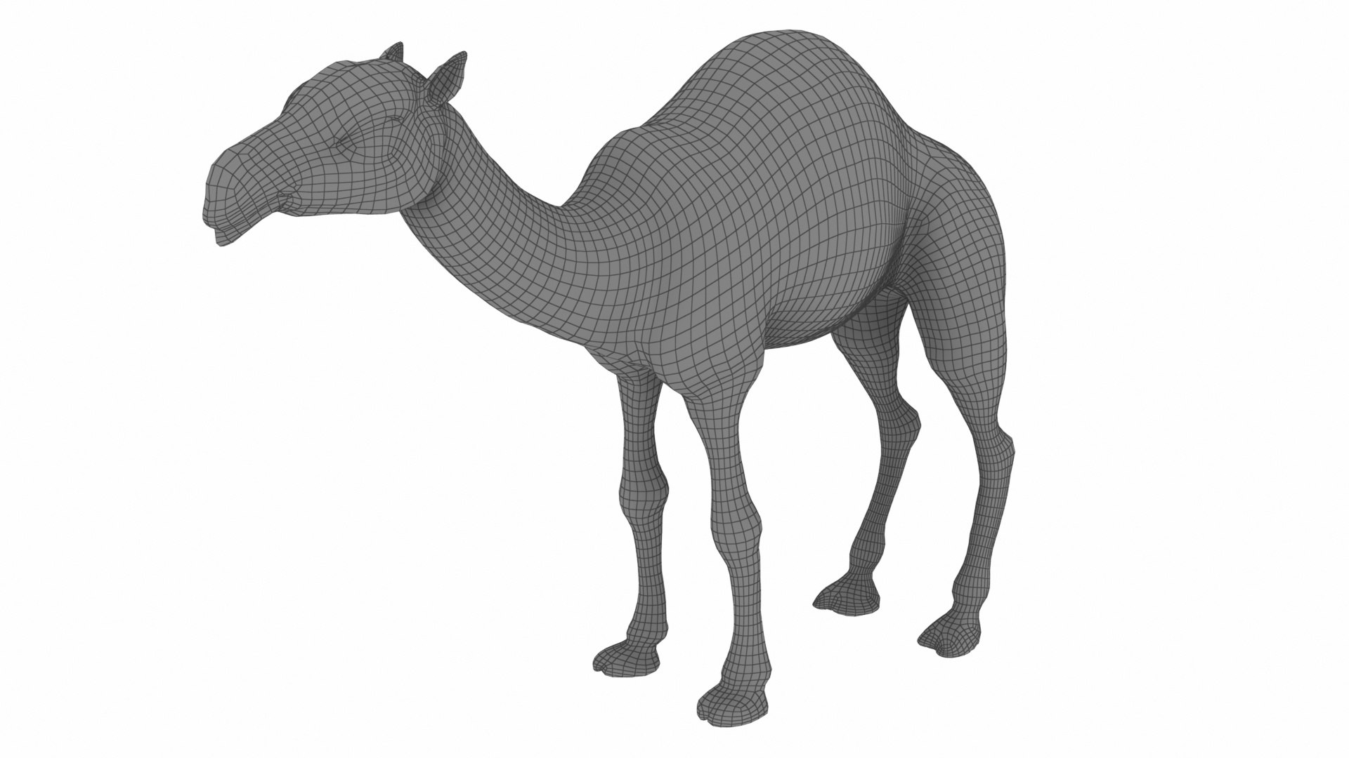 Camel 3D https://p.turbosquid.com/ts-thumb/T9/ZjLwJ7/oK/1_view01/jpg/1735212079/1920x1080/fit_q87/049a48014206a818b3992931ad528949f3764b56/1_view01.jpg