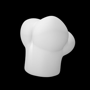 3D model chef hat