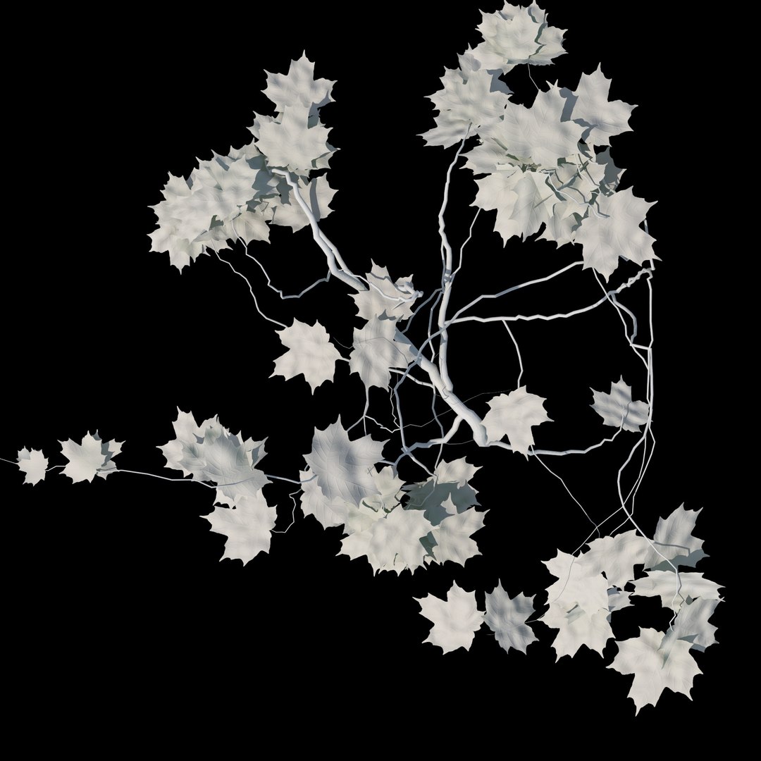 realistic ivy plant 3D model https://p.turbosquid.com/ts-thumb/T9/e5c4JF/5CuSDK2a/ecleposs_ivy__fresnel0000/jpg/1493345756/1920x1080/fit_q87/0c2713d6aec9583b5bbbd8d2f6420959394691a5/ecleposs_ivy__fresnel0000.jpg